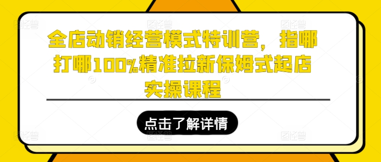 全店动销经营模式特训营，指哪打哪100%精准拉新保姆式起店实操课程-淘秘副业