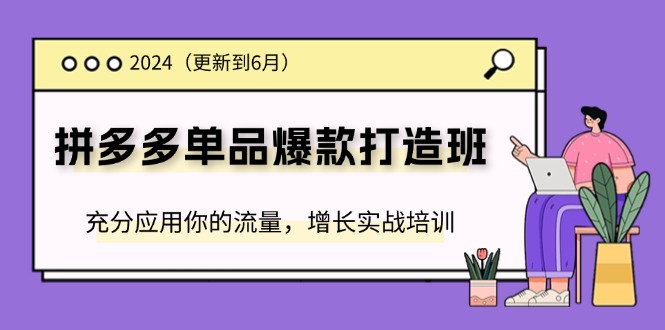 2024拼多多-单品爆款打造班(更新6月)，充分应用你的流量，增长实战培训-淘秘副业