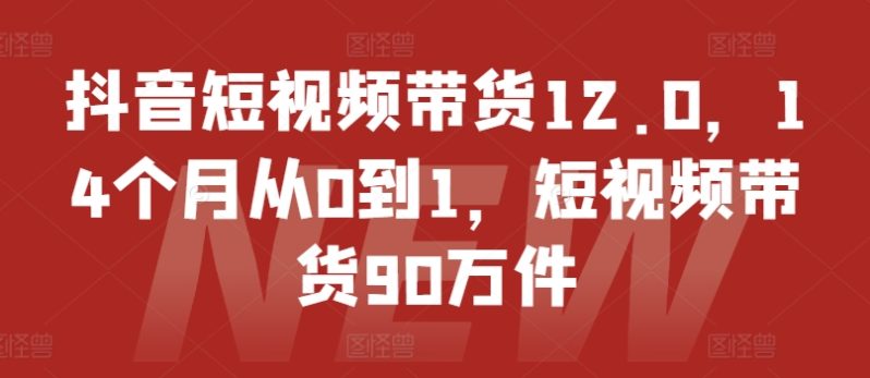 抖音短视频带货12.0，14个月从0到1，短视频带货90万件-淘秘副业