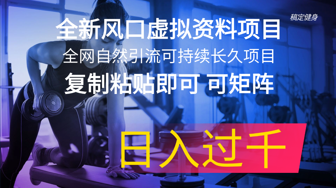 全新风口虚拟资料项目 全网自然引流可持续长久项目 复制粘贴即可可矩阵-淘秘副业