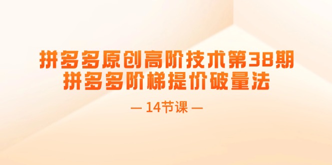 拼多多原创高阶技术第38期，拼多多阶梯提价破量法（14节课）-淘秘副业