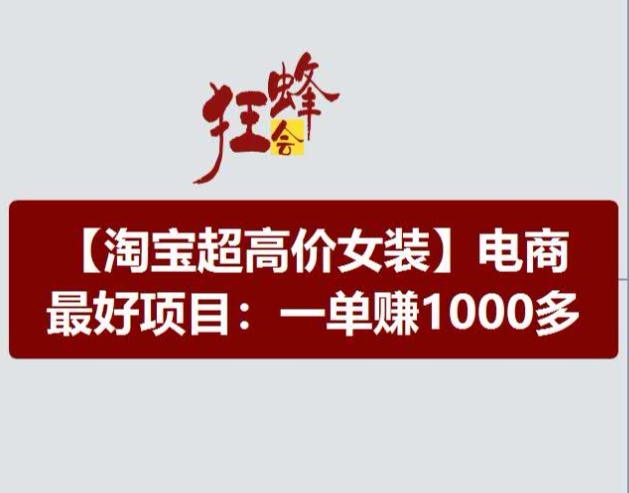 淘宝超高价女装项目，电商更好赛道，一单赚1000多-淘秘副业