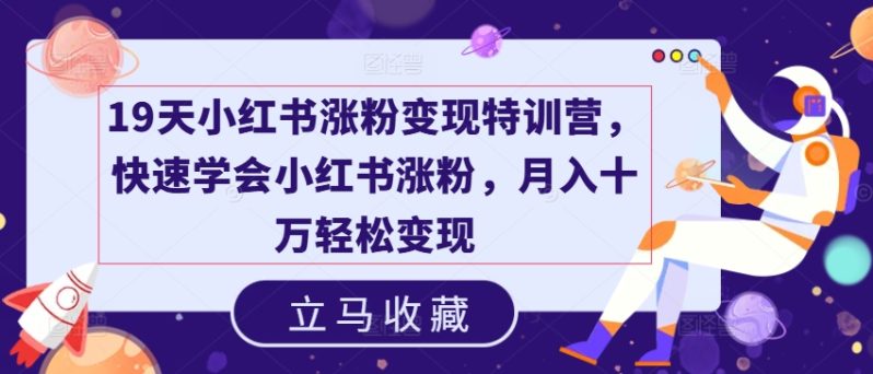 19天小红书涨粉变现特训营，快速学会小红书涨粉，月入十万轻松变现-淘秘副业