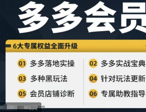拼多多会员，拼多多实战宝典+实战落地实操，从新手到高阶内容全面覆盖-淘秘副业