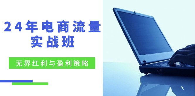 24年电商流量实战班：无界 红利与盈利策略，终极提升/关键词优化-淘秘副业