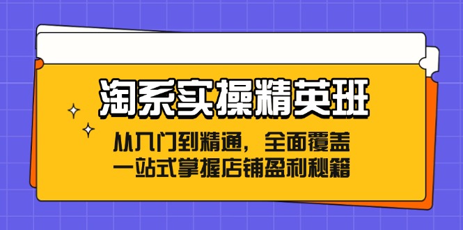 淘系实操精英班：从入门到精通，全面覆盖，一站式掌握店铺盈利秘籍-淘秘副业