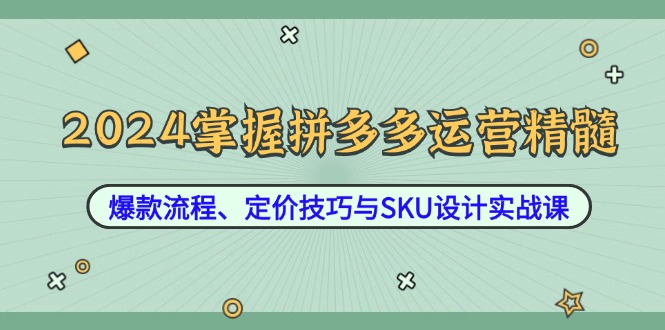 2024掌握拼多多运营精髓:爆款流程、定价技巧与SKU设计实战课 2024掌握拼多多运营精髓:爆款流程、定价技巧与SKU设计实战课