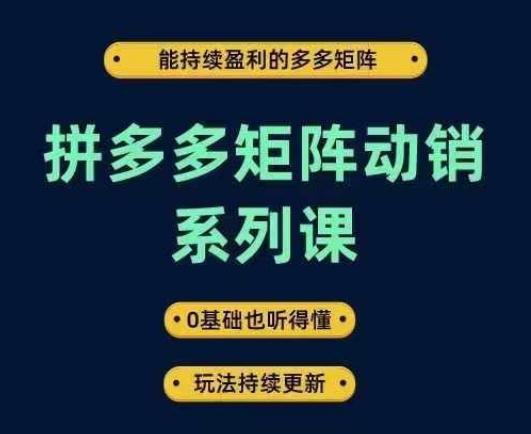 拼多多矩阵动销系列课，能持续盈利的多多矩阵，0基础也听得懂，玩法持续更新-淘秘副业