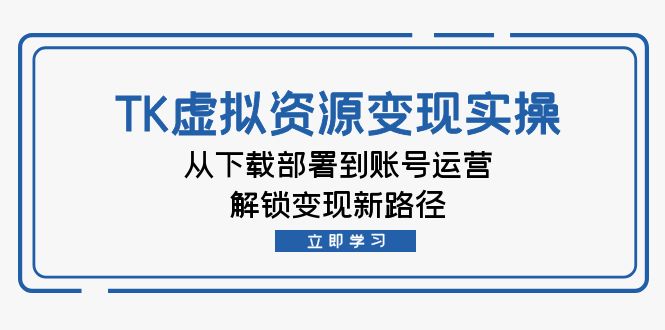 跨境电商TK虚拟资料变现实操：从下载部署到账号运营，解锁变现新路径-淘秘副业
