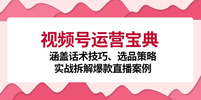 视频号运营宝典：涵盖话术技巧、选品策略、实战拆解爆款直播案例-淘秘副业