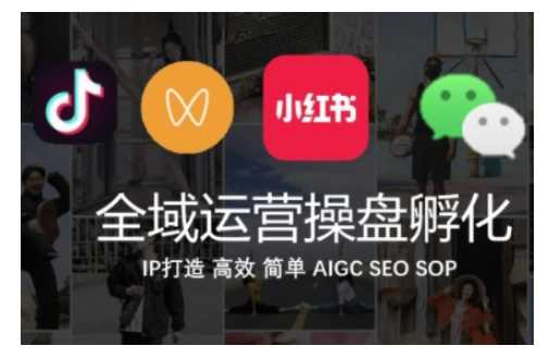 全域运营操盘(抖音+私域+小红书)，IP打造高效简单-淘秘副业