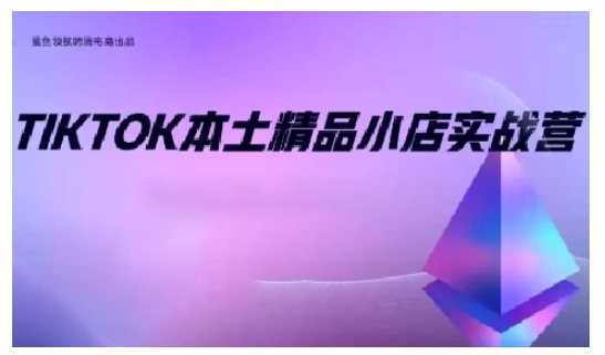 TikTok本土精品小店出海实战营，从入门到高阶，不止0-1!-淘秘副业