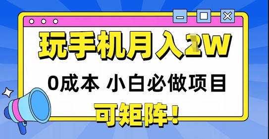 0成本小白必做项目，可矩阵，玩玩手机月入1w+-淘秘副业