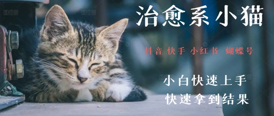 拆解，疯狂火爆！抖音，小红书，视频号小猫治愈的视频，轻松制作+快速拿到结果-淘秘副业