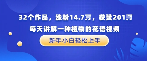 32个作品，涨粉14.7W，获赞201W，每天讲解一种植物的花语视频，无需任何技巧，新手小白轻松上手-淘秘副业