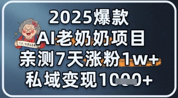 2025爆款 AI 老奶奶项目：亲测 7 天涨粉 1W+，私域变现 1k+-淘秘副业