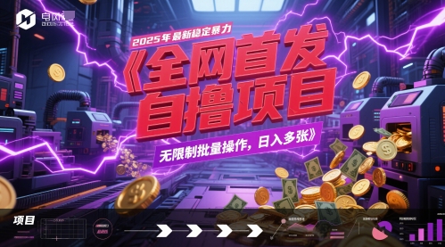 全网首发，2025年最新稳定暴力全自动自撸项目，无限制批量操作，日入多张【揭秘】-淘秘副业