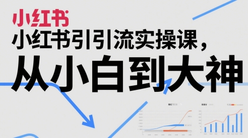 小红书引流实操课，从小白到大神-淘秘副业