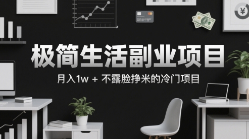 极简生活副业项目，月入1w+不露脸挣米的冷门项目-淘秘副业