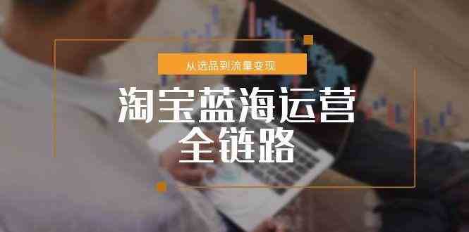 淘宝蓝海运营全链路，从选品到流量变现，小类目突围完整方案-淘秘副业