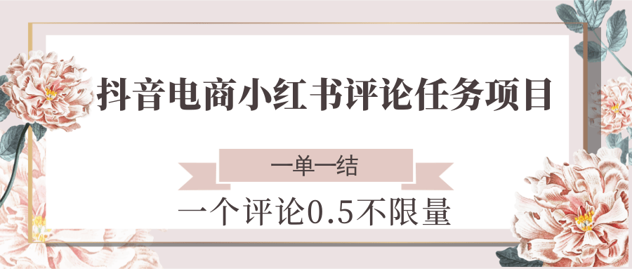 抖音电商小红书评论任务项目，一个评论0.5，一单一结 不限量-淘秘副业