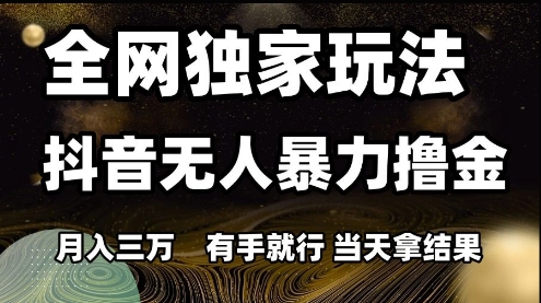 全网独家玩法抖音无人暴力撸金，月入3W，有手就行，当天拿结果【揭秘】-淘秘副业