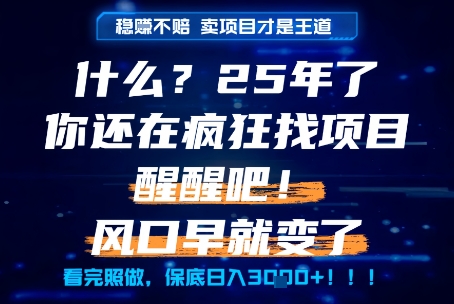 什么？25年你还在疯狂找项目做，醒醒吧，看完这些你全都懂了！【揭秘】-淘秘副业