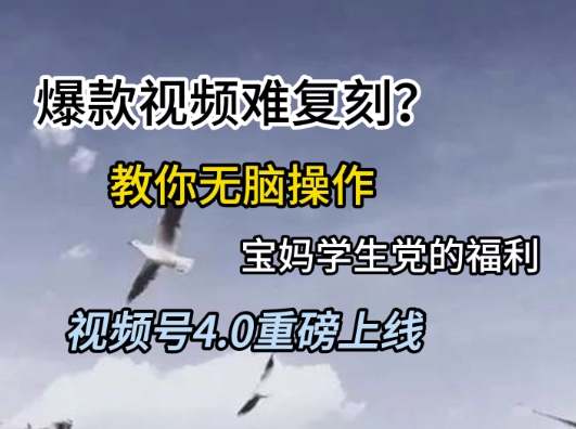 视频号4.0重磅上线，爆款视频难复刻？教你无脑操作宝妈学生党的福利【揭秘】-淘秘副业