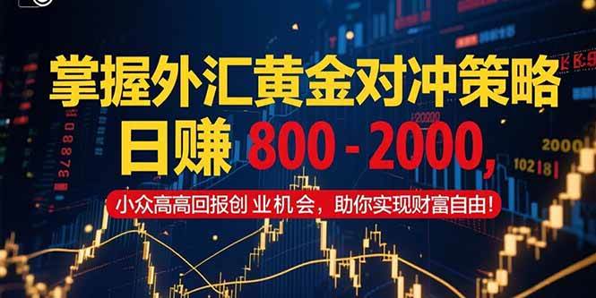（15198期）掌握外汇黄金对冲策略，日赚 800 – 2000，小众高回报创业机会，助你实…-淘秘副业