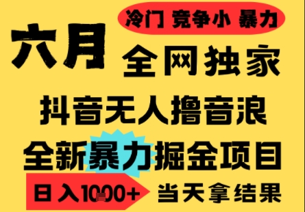 25年6月高爆抖音无人直播最新撸音浪掘金项目，小白可做，无脑日入1k+，门槛低可批量矩阵【揭秘】-淘秘副业