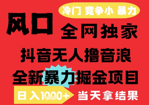 25年6月高爆抖音无人直播最新撸音浪掘金项目，解放双手小白可做，无脑日入1k+，门槛低【揭秘】-淘秘副业