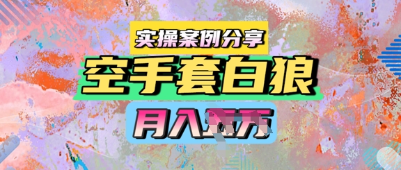 空手套白狼，月入过1W，实操案例分享-淘秘副业