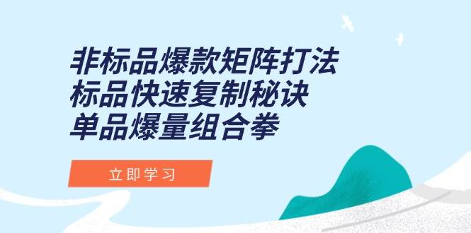 （15068期）非标品爆款矩阵打法，标品快速复制秘诀，单品爆量组合拳-淘秘副业
