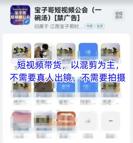 宝子哥头部团队短视频带货，以混剪为主，不需要真人出镜，不需要拍摄【更新】-淘秘副业