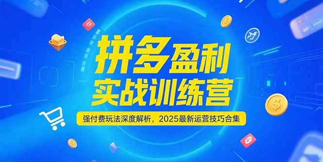 （15183期）拼多多盈利实战训练营，强付费玩法深度解析，2025最新运营技巧合集-淘秘副业