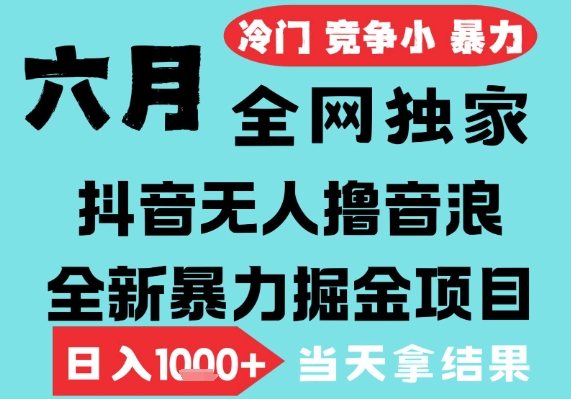 2025年6月高爆抖音无人直播最新撸音浪掘金项目，无脑日入1k+，低门槛小白可做，可矩阵放大【揭秘】-淘秘副业