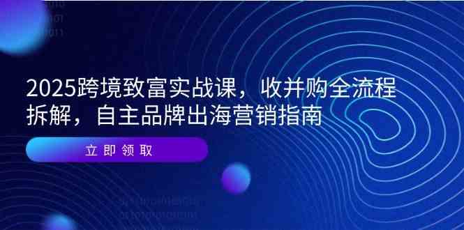 2025跨境致富实战课，收并购全流程拆解，自主品牌出海营销指南-淘秘副业