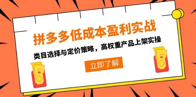 （15143期）拼多多低成本盈利实战，类目选择与定价策略，高权重产品上架实操-淘秘副业
