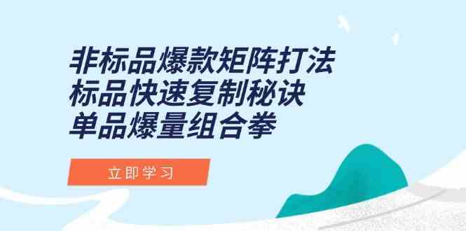 非标品爆款矩阵打法，标品快速复制秘诀，单品爆量组合拳-淘秘副业