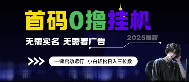 首码0撸挂G项目，无需实名无需看广告 一键启动运行，小白轻松日入三位数【揭秘】-淘秘副业