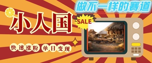 DeepSeek+绘图+视频制作小人国微观视频，小白轻轻松松上手，条条爆款，条条变现，单日就能收益-淘秘副业