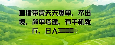 直播带货天天爆单，不出境，简单搭建，有手机就行，日入多张-淘秘副业
