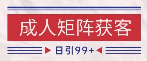 小红书某音橙人赛道引流获客，自热矩阵日引200+【揭秘】-淘秘副业