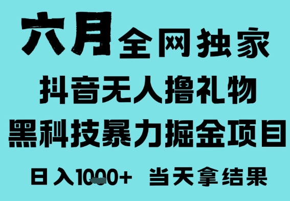 25年6月高爆抖音无人直播最新撸音浪掘金项目，门槛低小白可做，无脑日入1k，可矩阵放大【揭秘】-淘秘副业