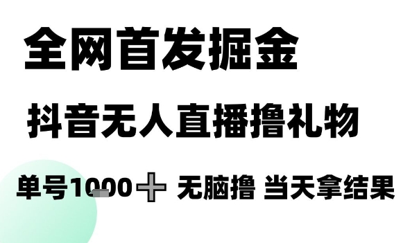 全网首发掘金抖音无人直播撸礼物，单号1k +无脑撸，当天拿结果【揭秘】-淘秘副业