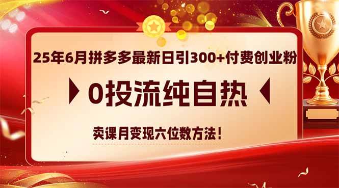 （14989期）25年6月拼多多最新日引300+付费创业粉，0投流纯自热 卖课月变现六位数方法-淘秘副业