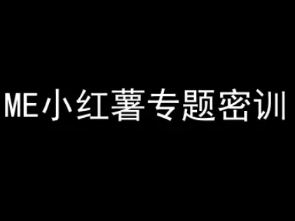 ME小红薯专题密训-小红书电商教程-淘秘副业
