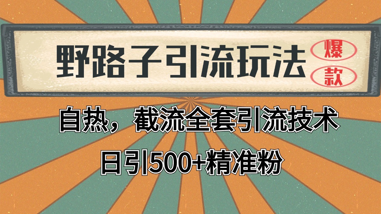 2024首发野路子引流玩法截流自热全平台打法，全自动引流【日引2000+精准客户】-淘秘副业