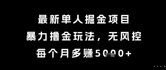最新单人掘金项目，暴力撸金玩法，无风控，每个月多挣5k+【揭秘】-淘秘副业