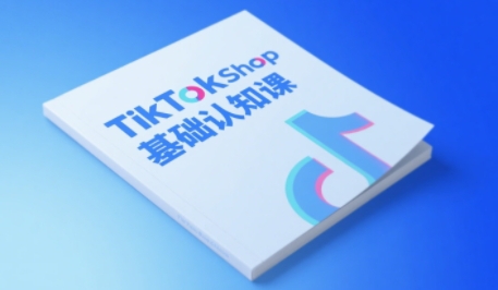 TikTok小店基础认知课，助力学员从 0 到 1 掌握 TikTok 电商运营全链路认知-淘秘副业
